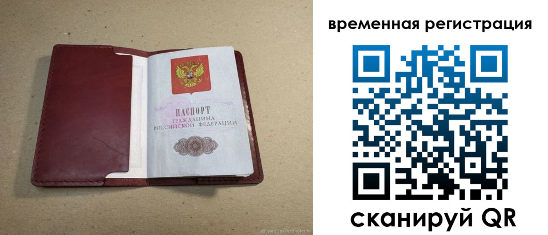 форма 3 в Камчатском крае
